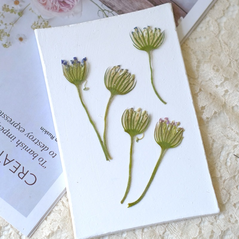 12PCS Pressed Emerald Pearl Fl - Dried Flower Bookmark recension och pris