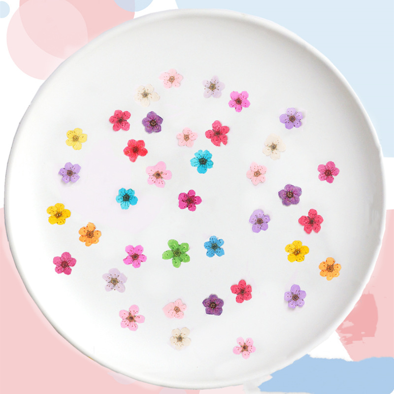 60pcs Mini Pressed Dried Narci - Dried Flower Bookmark recension och pris